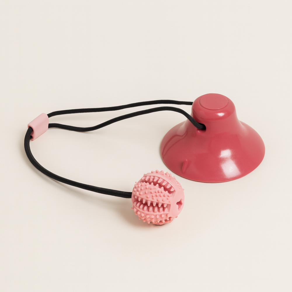 Interaktives Kauspielzeug für Hunde – Puzzleball mit Saugnapf, Futterspender und Zahnreinigung